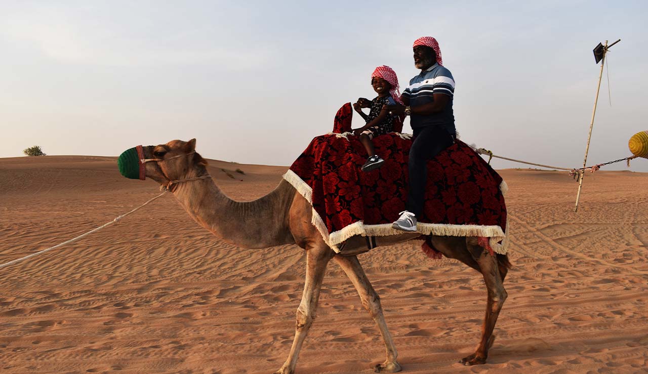 Camel Tour Dubai