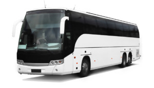 hatta bus package