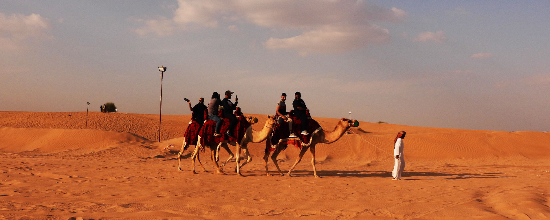 Camel Ride Dubai