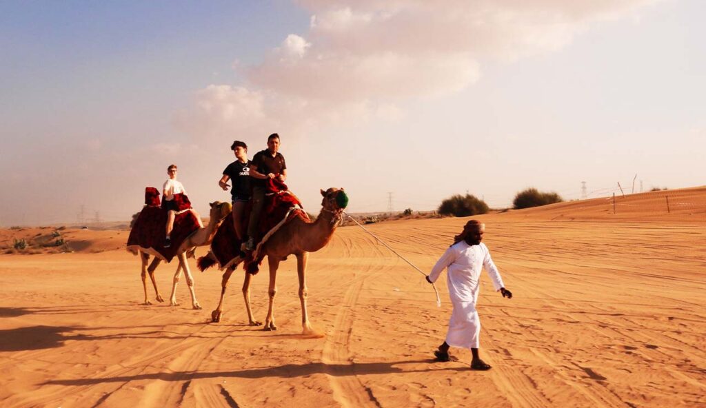 Desert Safari Drive