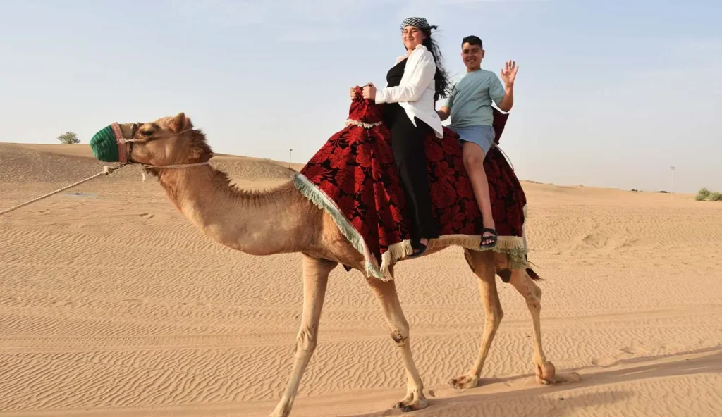 Desert Safari with Premium Camp