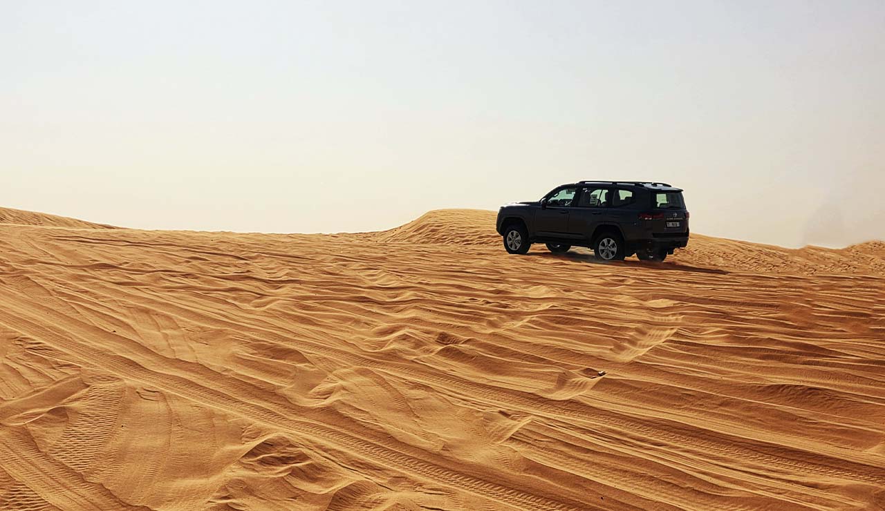 Best Desert Safari Tours in Dubai