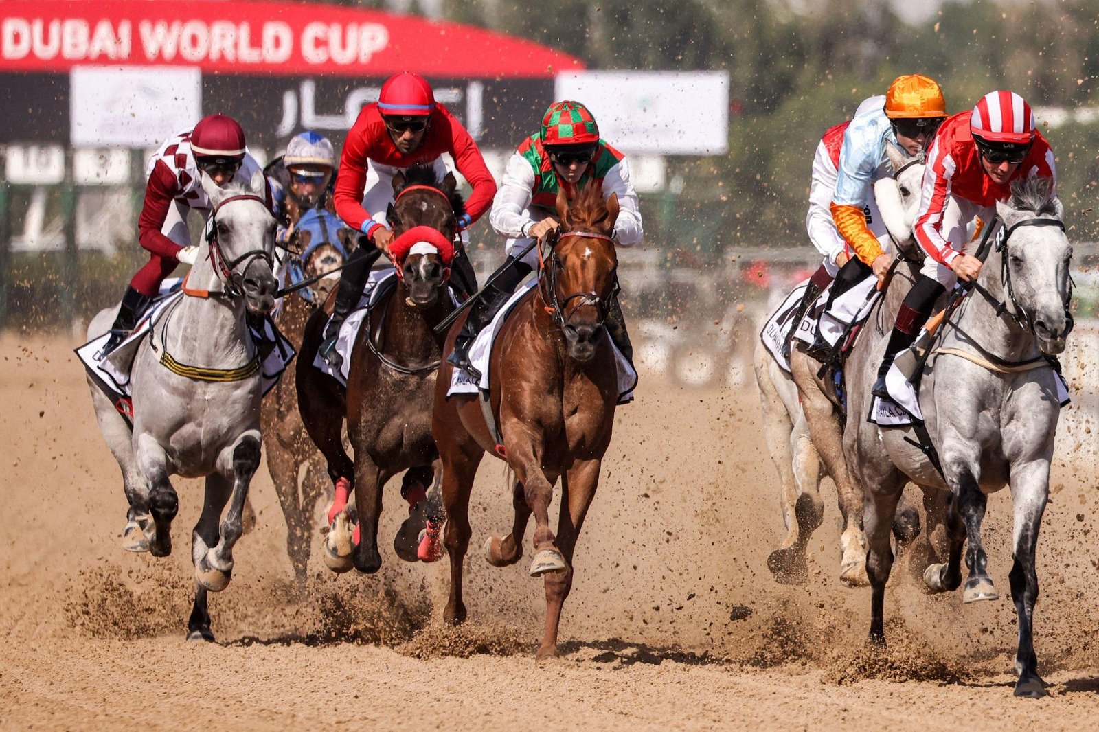 Dubai World Cup horse race at Meydan